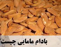 تصویر 3 از بادام مامایی مرغوب + قیمت به صرفه